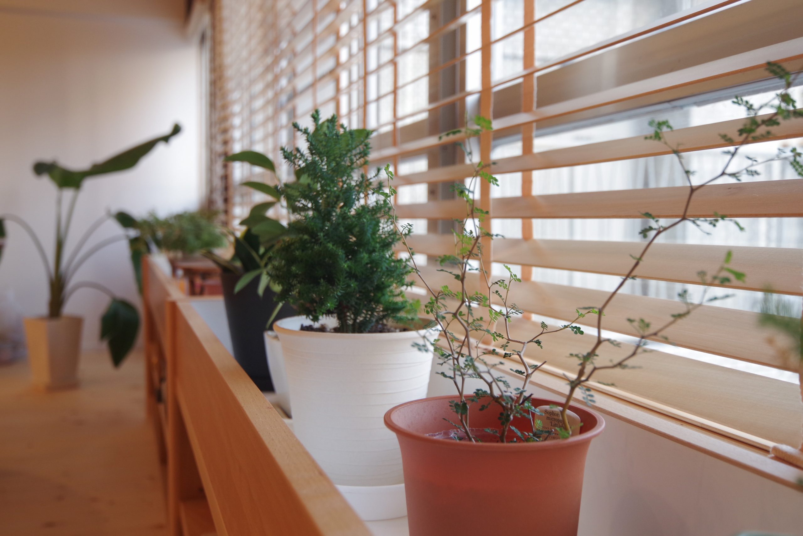 title: RENOVATION 05｜マンション | Page No,120 | No.12 | sync-furniture | 株式会社 SYNC | 福岡県 家具工房 | オーダーメイドキッチン