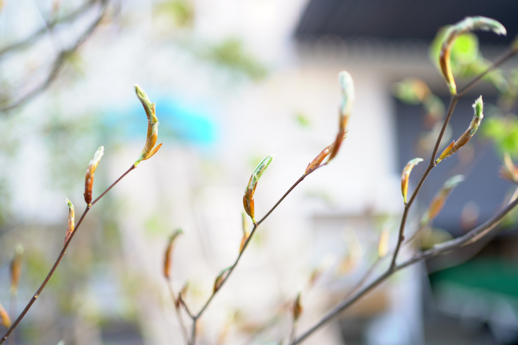 title: 03.14 sat | Page No,387 | No.1 | sync-furniture | 株式会社 SYNC | 福岡県 家具工房 | オーダーメイドキッチン