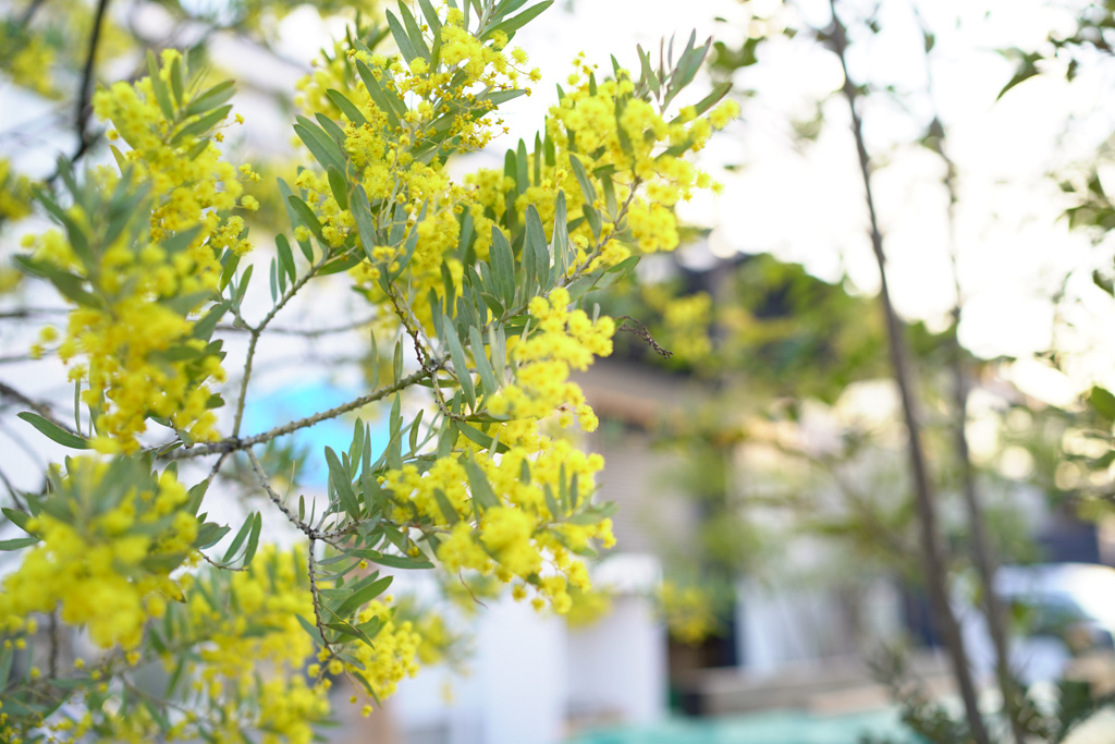 title: 03.14 sat | Page No,387 | No.2 | sync-furniture | 株式会社 SYNC | 福岡県 家具工房 | オーダーメイドキッチン