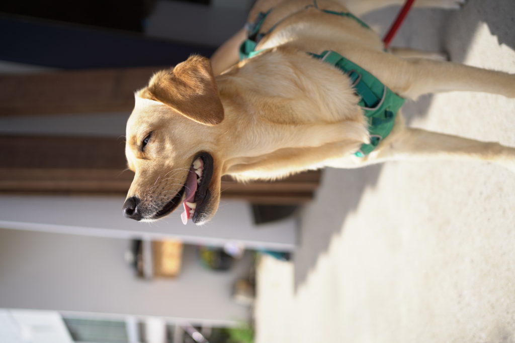 title: 04.15 thu | Page No,449 | No.1 | sync-furniture | 株式会社 SYNC | 福岡県 家具工房 | オーダーメイドキッチン