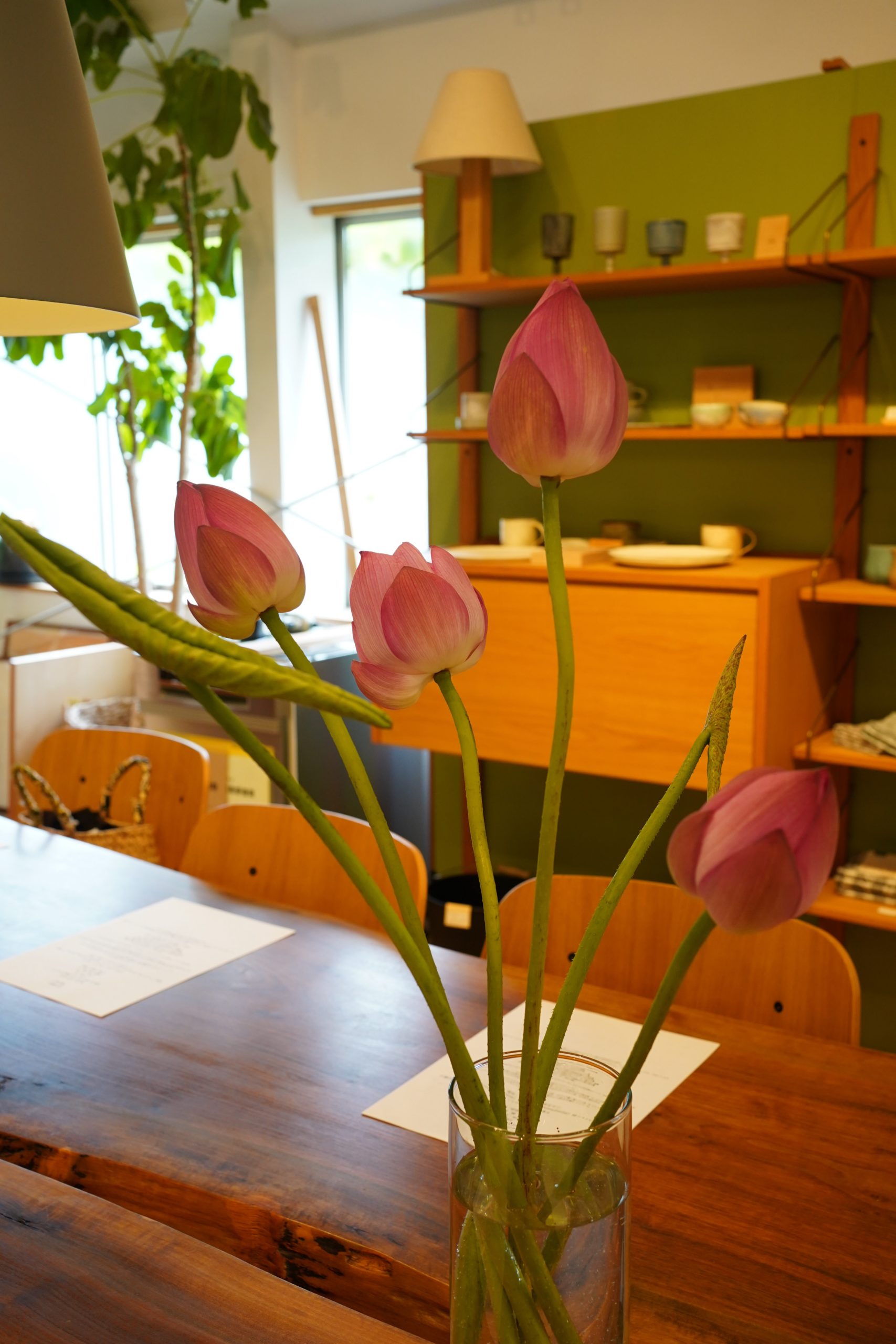 title: 蓮の実養生薬膳2025 │ meili | Page No,605 | No.1 | sync-furniture | 株式会社 SYNC | 福岡県 家具工房 | オーダーメイドキッチン