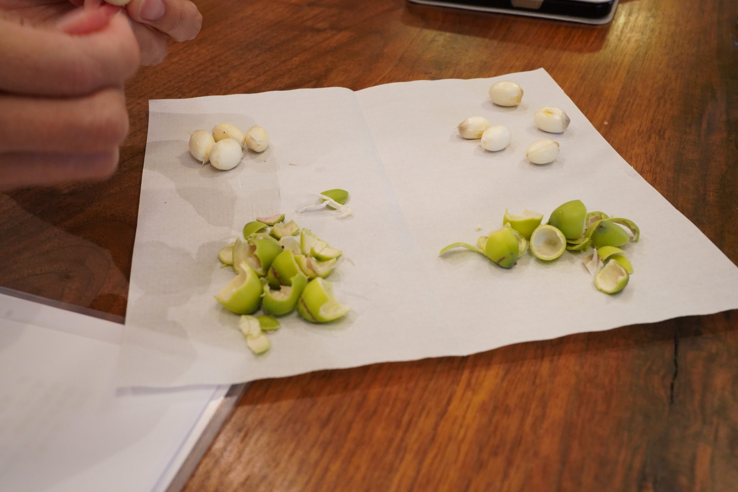 title: 蓮の実養生薬膳2025 │ meili | Page No,605 | No.3 | sync-furniture | 株式会社 SYNC | 福岡県 家具工房 | オーダーメイドキッチン