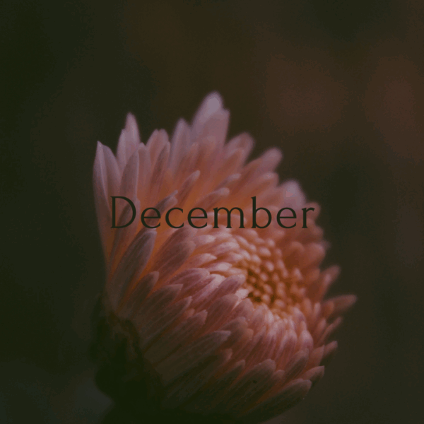 12月の定休日・営業時間