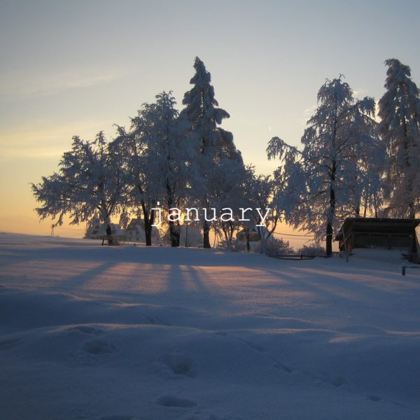 1月の定休日・営業時間